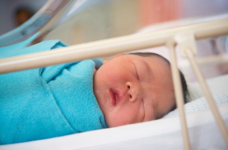 Chuyên gia lo ngại trẻ sơ sinh sẽ thành cỗ máy sản xuất nội tạng cho ĐCSTQ
