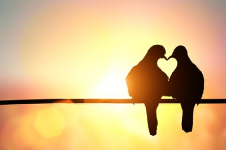 Hóa ra chìa khóa để có một gia đình hạnh phúc nằm ở chính “từ” này