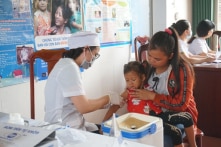 TP.HCM: Bị chó cắn khi đi chúc tết, 1.365 người phải tiêm phòng dại