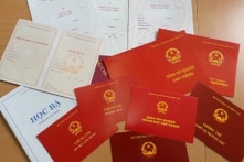 49 cán bộ Bến Tre mua chứng chỉ giả để xét tuyển dụng và thăng hạng viên chức