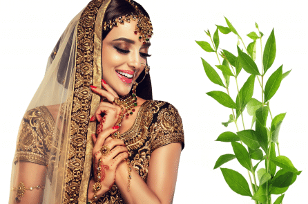 Henna – Thần dược cho sắc đẹp và biểu tượng văn hóa của thế giới