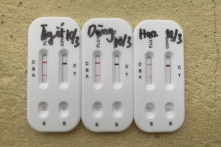 Lào Cai: Gần 240 học sinh nghỉ học vì ho, sốt, mệt