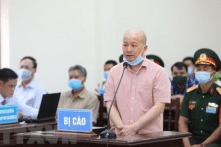 Cựu Phó Tổng Giám đốc Tổng Công ty Thái Sơn Bộ Quốc phòng bị truy tố