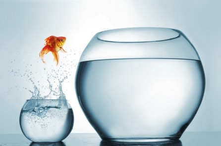 15 khả năng giúp bạn nắm bắt cơ hội