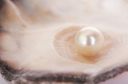 Đi ăn hàu, người phụ nữ may mắn tìm thấy viên ngọc trị giá hàng nghìn đô-la