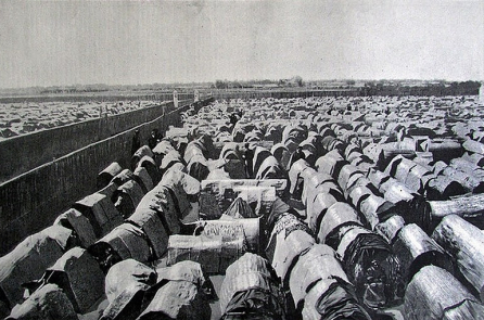 Lê Khắc Cẩn: Người đại diện sĩ tử phản đối nhượng lãnh thổ cho Pháp