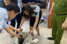 Yên Bái: Hơn 2,8 tấn khoáng sản trên 700 triệu không rõ nguồn gốc bị thu giữ