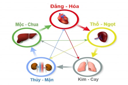 Ngũ tạng tốt hay không, nhìn qua khẩu vị liền biết ngay