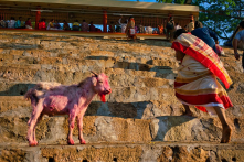 Ấn Độ: Năm người bị bắt vì giết người hiến tế tại một ngôi đền