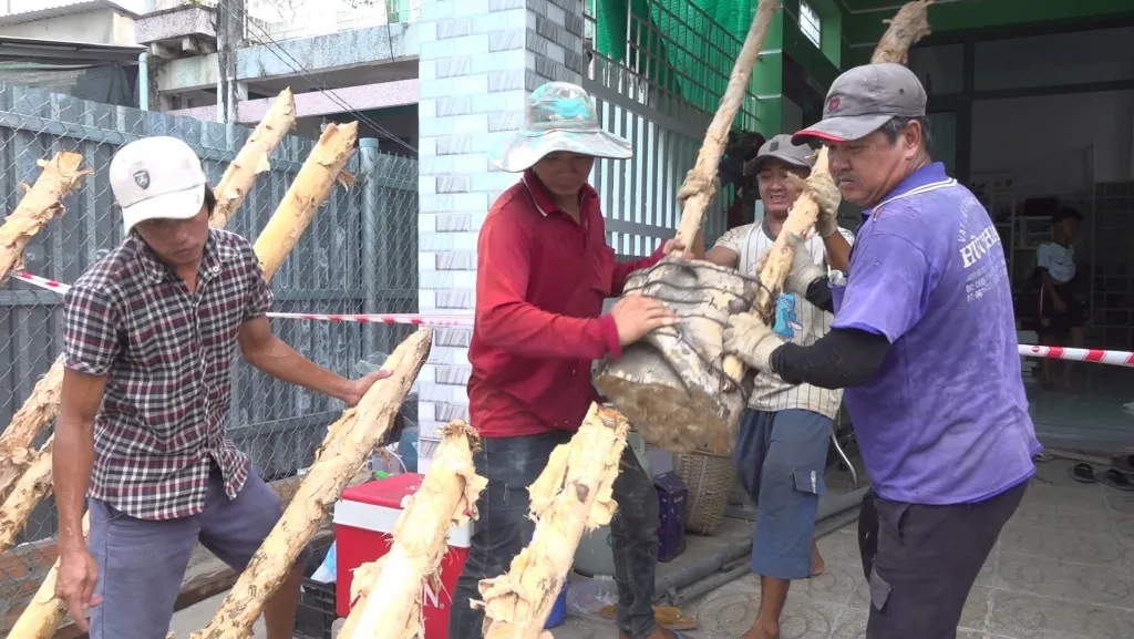 dong thap sat lo lam 1 can nha sup xuong song 10 ho dan bi co laps