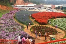 Công an khuyến cáo người dân không chia sẻ hành trình du lịch lên mạng xã hội