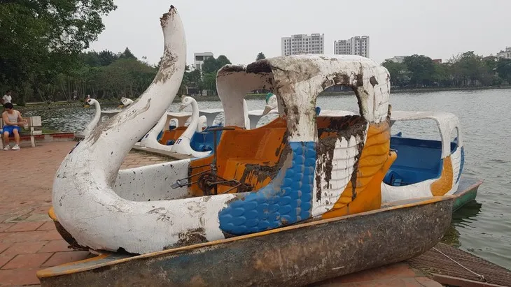 hai duong chim thuyen thien nga tren ho bach dang be gai 7 tuoi tu vongkm