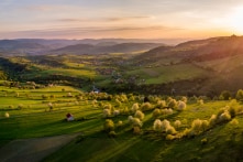 Slovakia là nước thành viên EU tiếp theo hạn chế nhập khẩu ngũ cốc của Ukraine