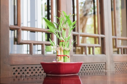 7 cách tăng tài vận cho gia đình bạn