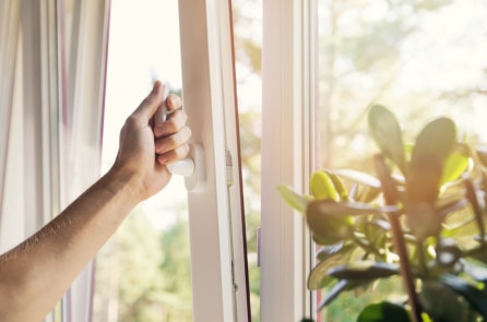 Thường xuyên không mở cửa sổ có thể dẫn đến teo não