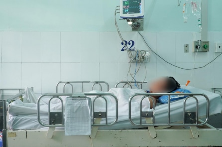 Bệnh nhân suýt tử vong sau ăn xác ve sầu do tưởng đông trùng hạ thảo