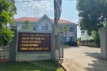Đắk Nông: Công an điều tra vụ Trưởng Phòng Tư pháp huyện bị nghi trộm cây hoa giấy