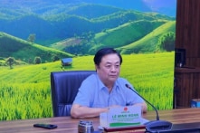 Giá bất ổn, thịt thải loại ồ ạt vào Việt Nam, Bộ NN-PTNT nói ‘phải quen dần’