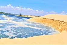 Bình Thuận: Thắng cảnh quốc gia đồi cát Bàu Trắng bị sạt lở nghiêm trọng