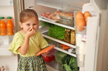 Nên làm gì khi nhà có gián và tủ lạnh có mùi?