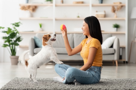 Trong mắt các nhà khoa học, giống chó nào thông minh nhất thế giới?