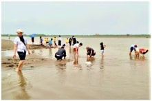 Tạm dừng tham quan VQG Xuân Thủy sau vụ phụ huynh và học sinh tử vong