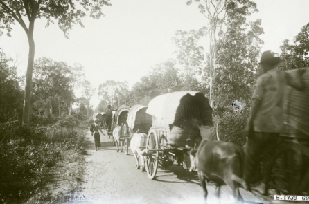 Người Bình Dương