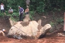 [VIDEO] Cận cảnh tảng đá hình con rùa đào được ở Nghệ An được trả giá 1 tỷ đồng