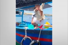 Khánh Hoà: Nhóm người hành hung, ép ngư dân bán tôm hùm giá rẻ ở vịnh Vân Phong