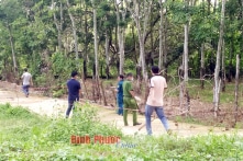 Bình Phước: Điều tra nguyên nhân thi thể bé sơ sinh mất một chân ở cạnh lô cao su