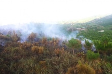 Chuyển công an điều tra dấu hiệu tham ô hàng trăm triệu đồng tại Hạt Kiểm lâm Bảo Lộc