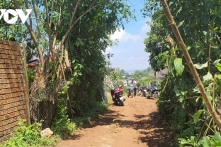 Lâm Đồng: 4 cha con treo cổ tử vong
