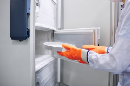 Người dọn dẹp tắt tủ lạnh, “dọn” luôn thành quả nghiên cứu 25 năm của trường ĐH Mỹ
