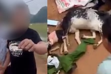 [VIDEO] Điều tra vụ 3 công an Hà Nội bắn trộm dê, bị người dân bắt được