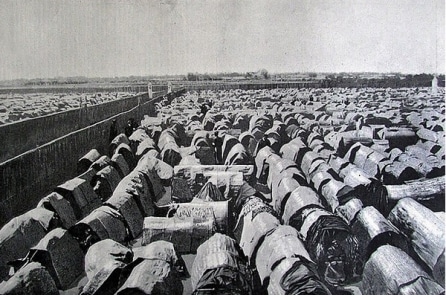 Sĩ tử bị cấm thi, nhờ bền chí trau dồi mà cuối cùng đỗ Thám hoa