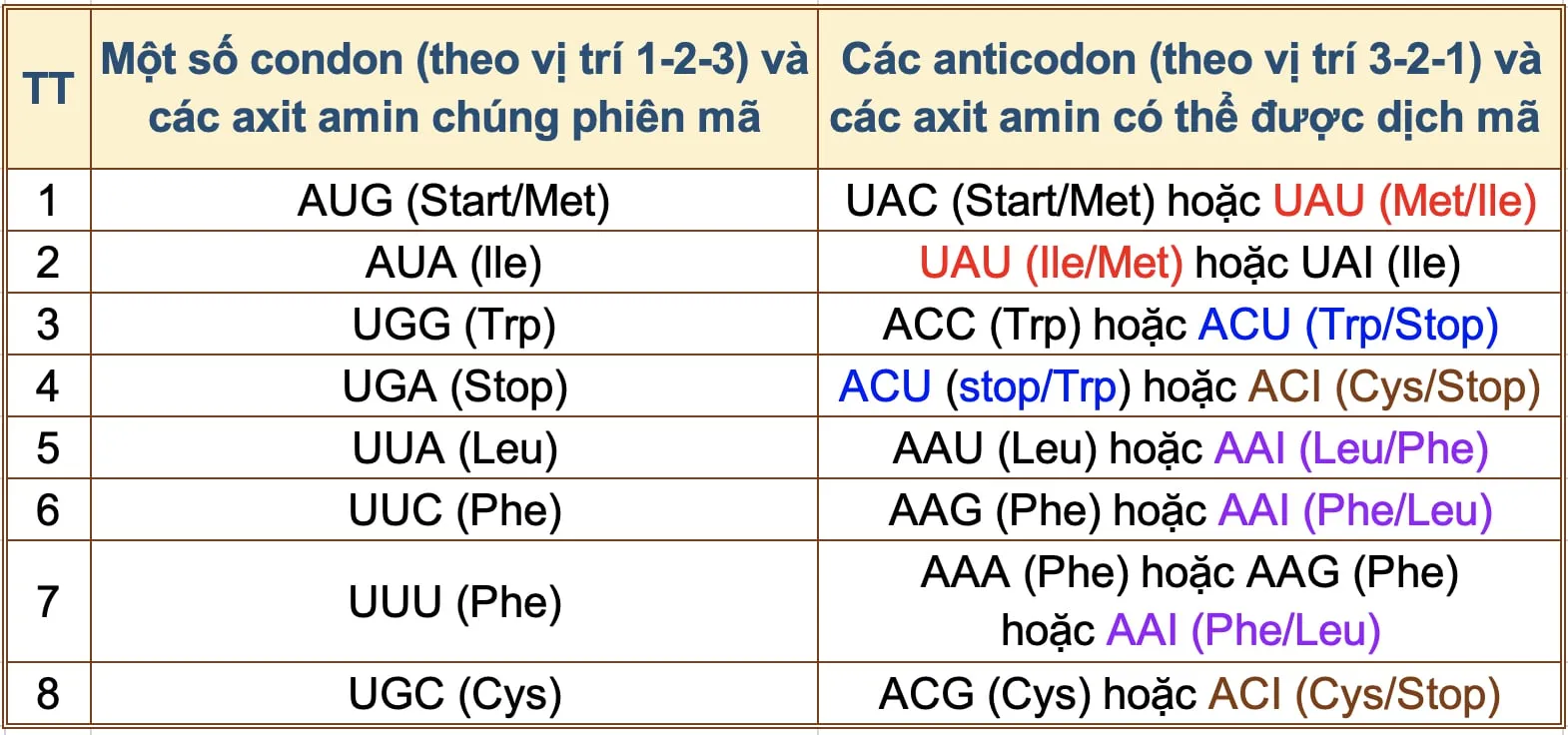 Bang 3 sai sot trong qua trinh tong hop axit amin