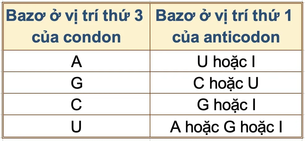 di truyền học sóng-ngôn ngữ