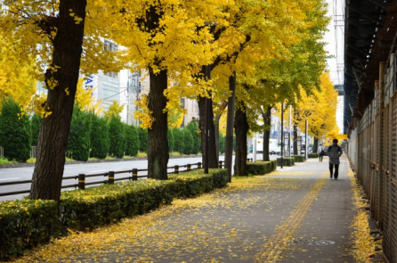 Suy ngẫm các thể nghiệm hàng ngày