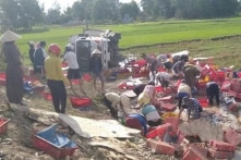 Quảng Trị: Xe đông lạnh chở 5 tấn cá bị lật, người dân địa phương thu gom giúp tài xế