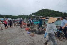 Sập nhà chờ cầu cảng ở Kiên Giang: Thêm một nữ du khách tiên lượng xấu