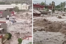 California liên tiếp đối mặt với tam tai: Bão, động đất và cháy rừng