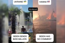 Điện lực Hawaii bị nghi ngờ trong khi dân chúng Mỹ bức xúc trước thảm họa ở Hawaii