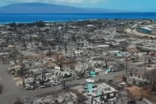 CBS News: Lãnh đạo cơ quan quản lý khẩn cấp Maui không có kinh nghiệm ứng phó thảm họa