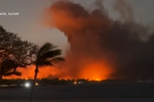 Mỹ: Điều tra về công tác cảnh báo khi số người chết vì cháy rừng ở Hawaii lên tới 80