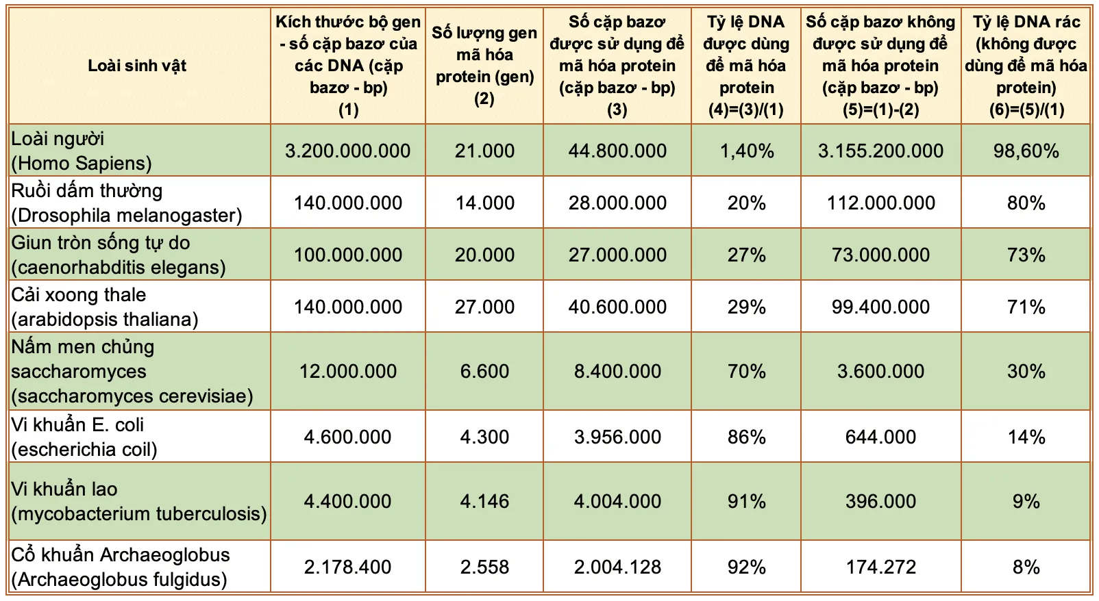 Di truyền học Sóng-Ngôn ngữ