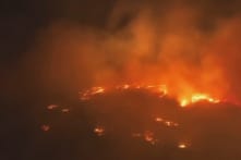 Cháy rừng ở Hawaii: 36 người chết, hàng ngàn người sơ tán [VIDEO]