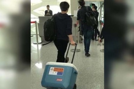 “Luồng xanh” vận chuyển nội tạng người phủ khắp Trung Quốc