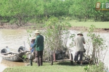 Thái Bình muốn lấy tới 90% diện tích khu bảo tồn thiên nhiên để làm khu đô thị, sân golf…