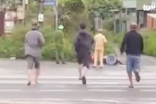 Nhân viên trật tự đô thị ở TP. Pleiku quật ngã người bán cá xuống đường