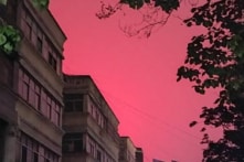 [VIDEO] “Ánh sáng đỏ kỳ lạ” xuất hiện khi động đất ở Sơn Đông, chim én bay khắp Hà Nam